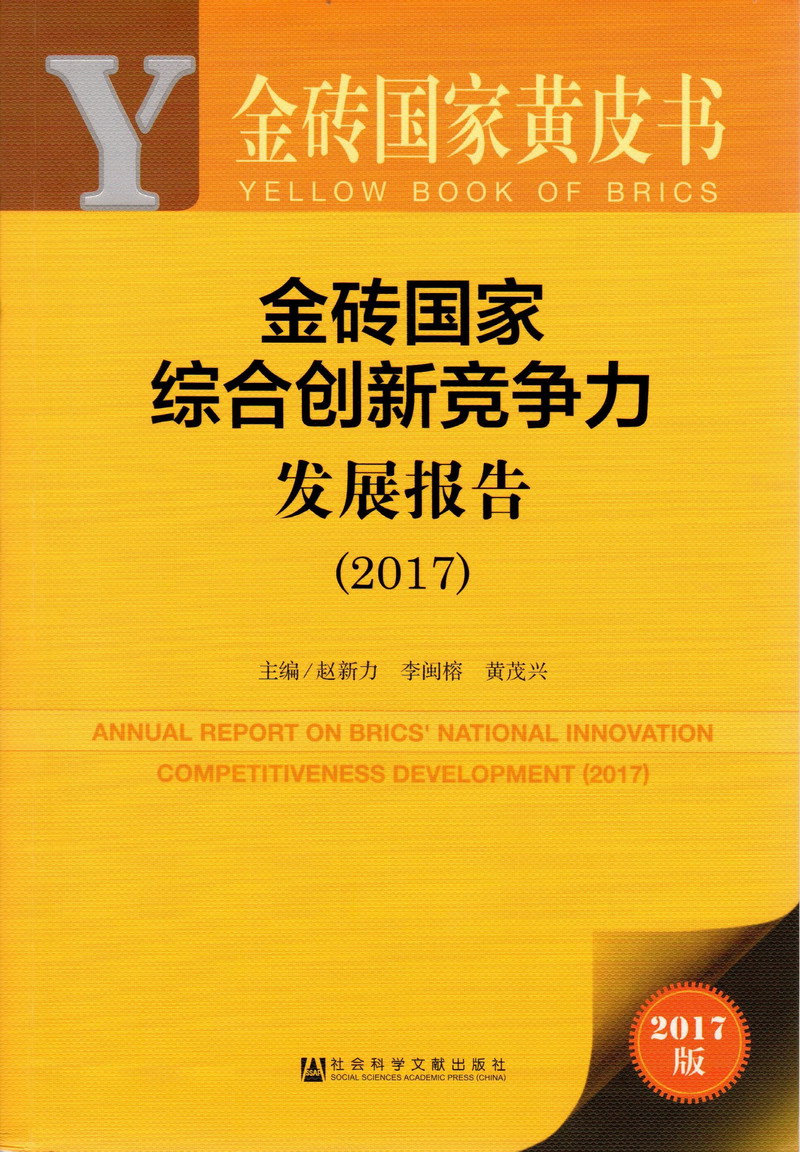 干你的大骚穴视频金砖国家综合创新竞争力发展报告（2017）